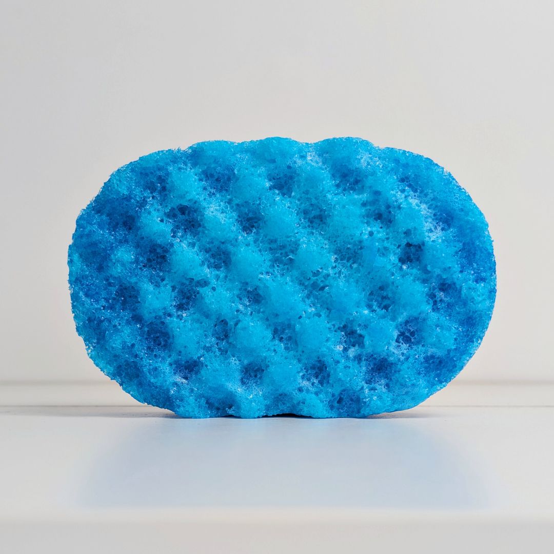 A blue, textured sponge, filled with soap on a white background.
