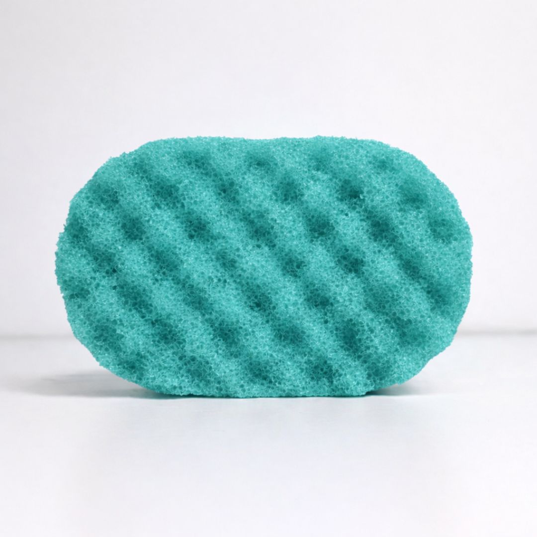 Green textured soap sponge on a white background