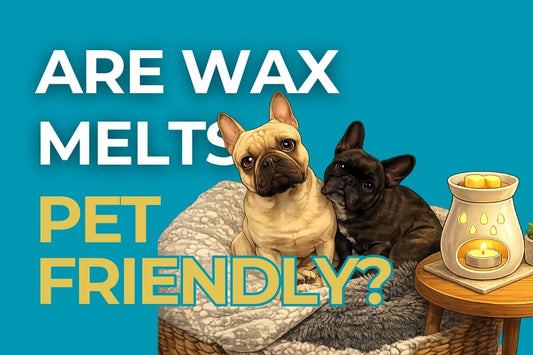 A poster of two French Bulldogs next to wax melt warmer asking Are Wax Melts Pet Friendly?