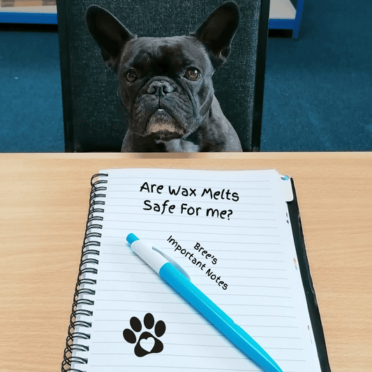 Pet Dog Wax Melt Safe Friendly