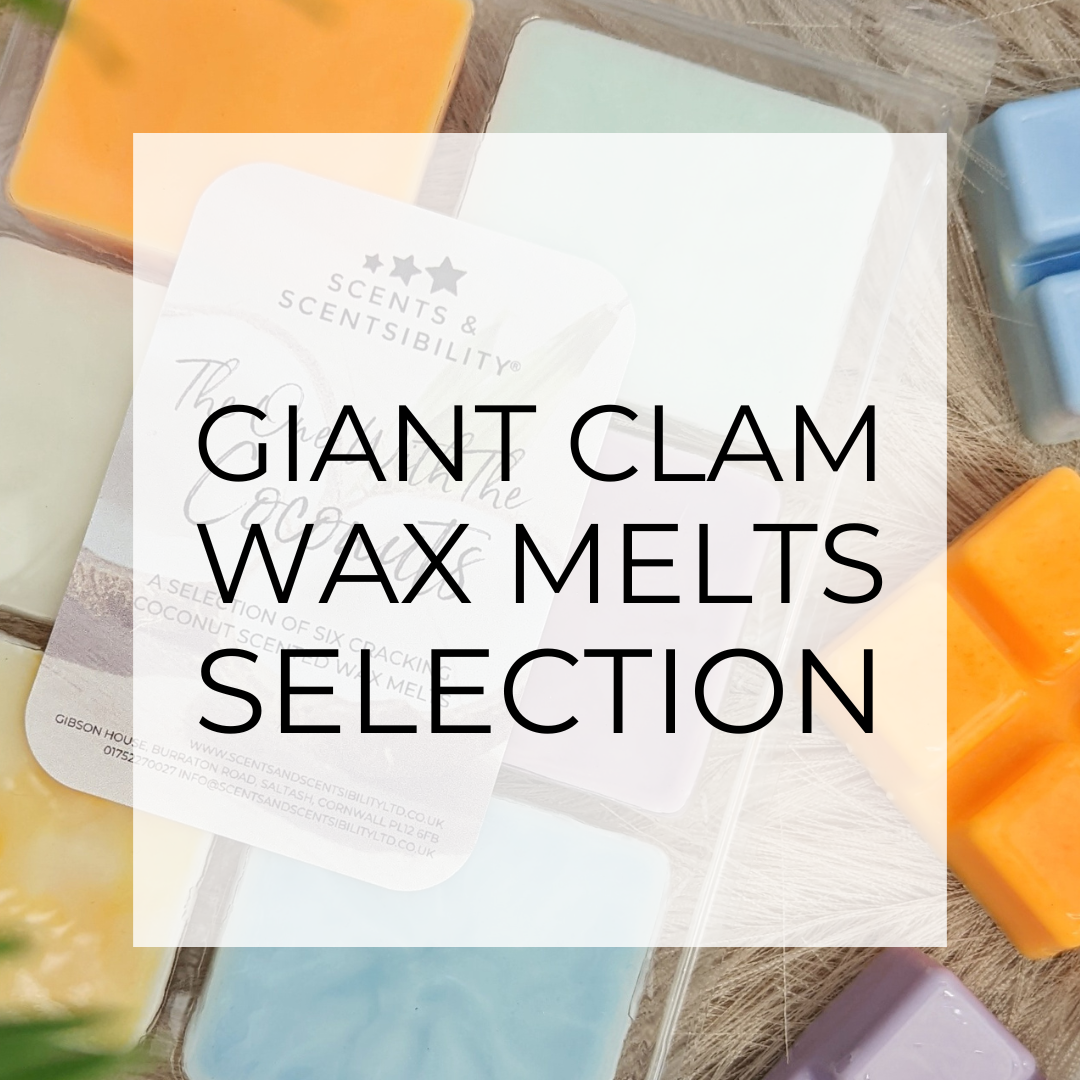 Giant Clam Wax Melt Selection