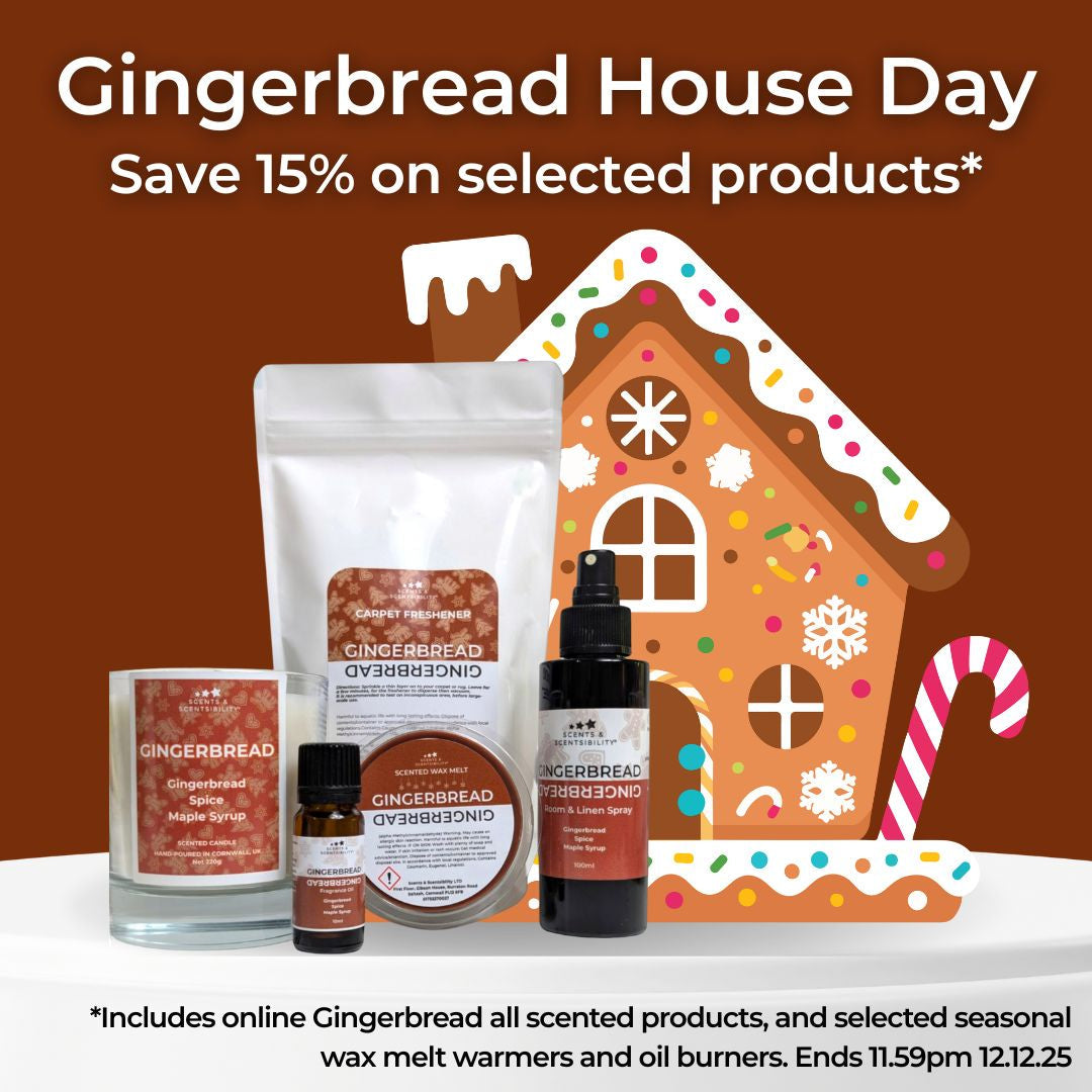 Gingerbread House Day