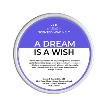 A Dream Is A Wish Segment Pot Wax Melt