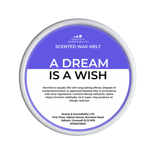 A Dream Is A Wish Segment Pot Wax Melt