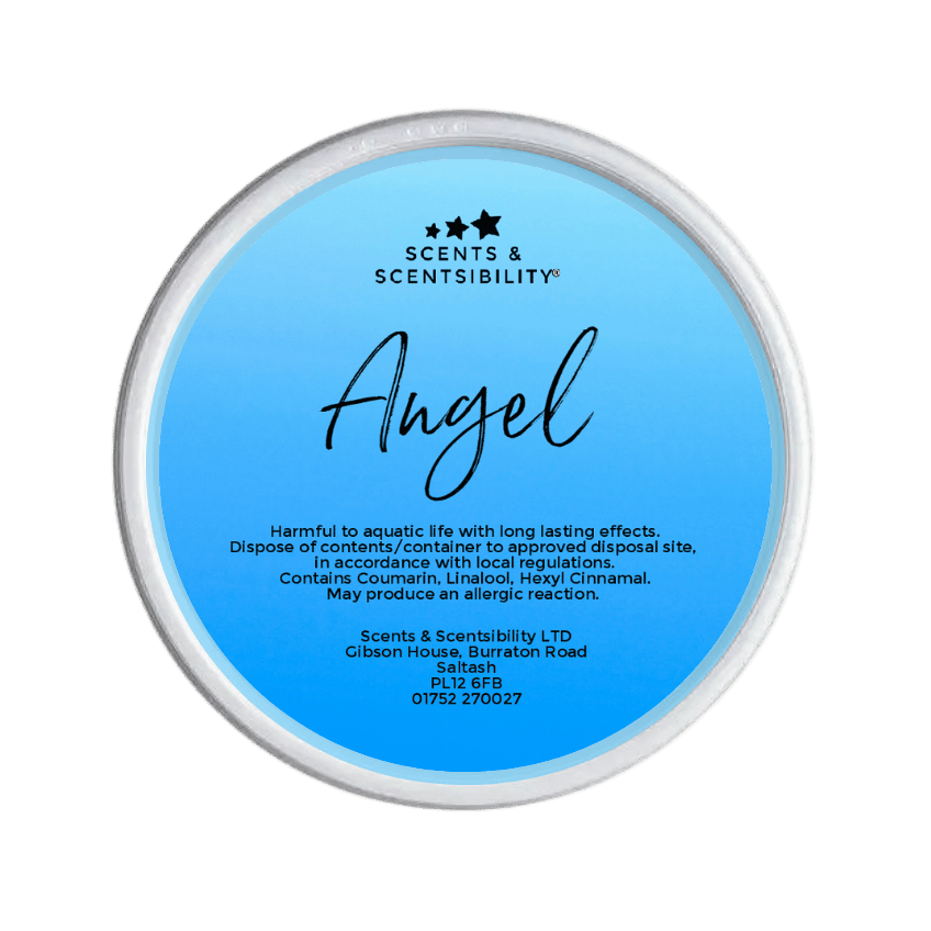 Angel Segment Pot Wax Melt