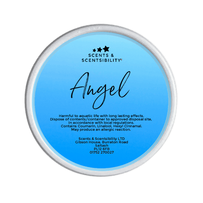 Angel Segment Pot Wax Melt