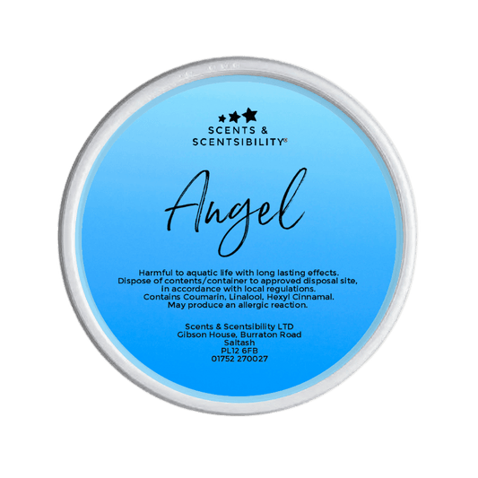Angel Segment Pot Wax Melt