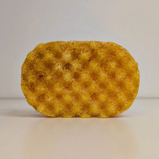 Auren Soap Sponge
