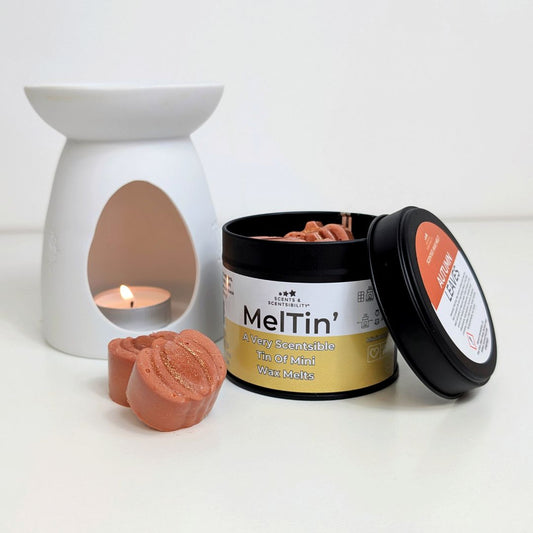 Autumn Leaves Wax Melts Tin – Mini Wax Melts to Grab and Go!