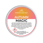 Autumn Magic Segment Pot Wax Melts