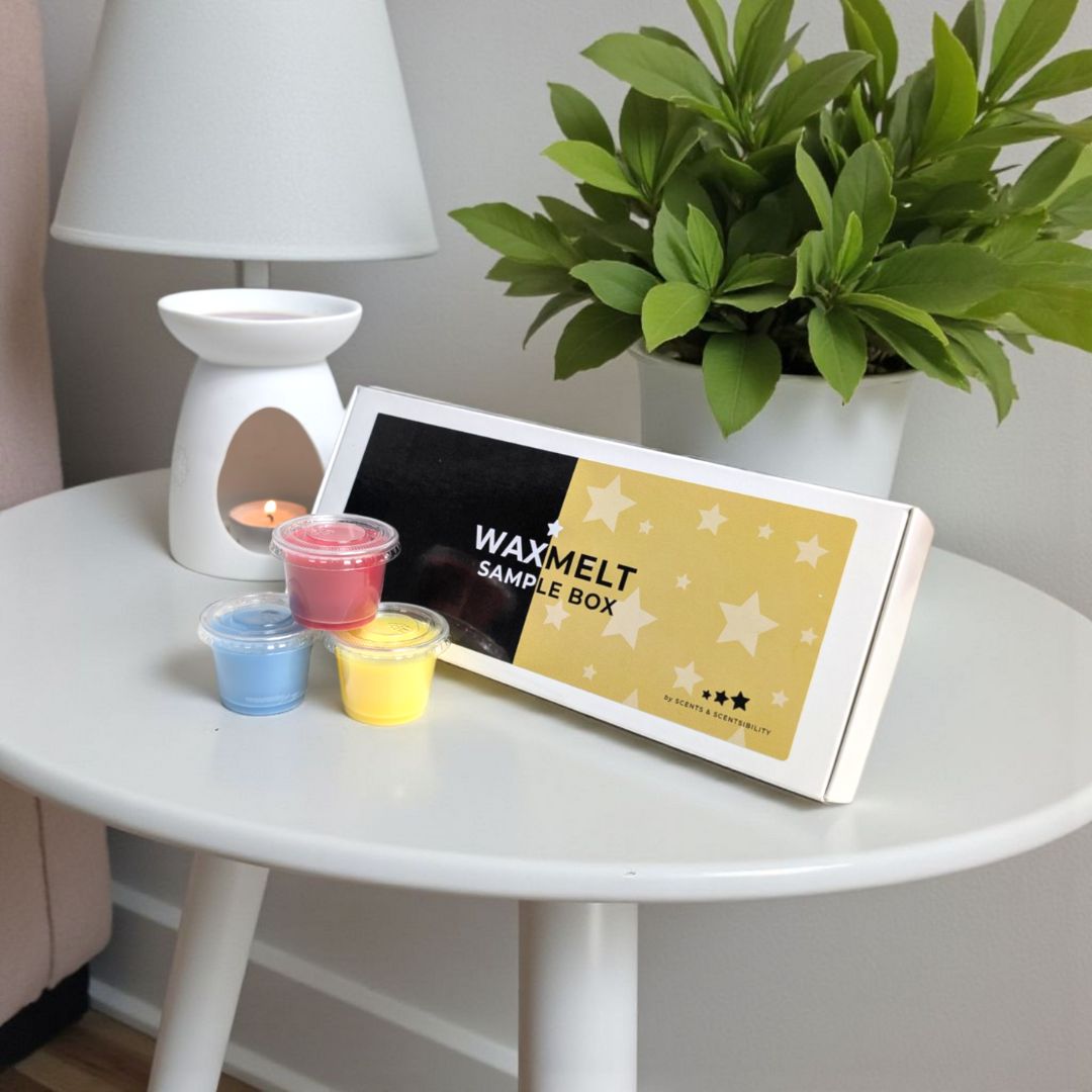 Wax melt sample box with colorful wax samples on a white table next to a plant and lamp.