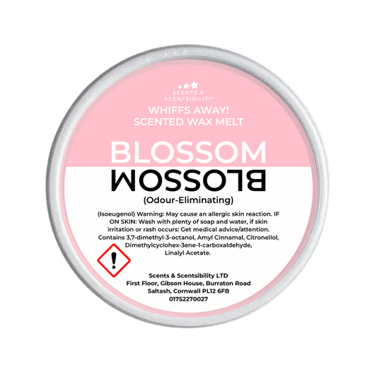 Blossom Odour-Eliminating Segment Pot Wax Melt