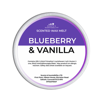 Blueberry & Vanilla Segment Pot Wax Melt