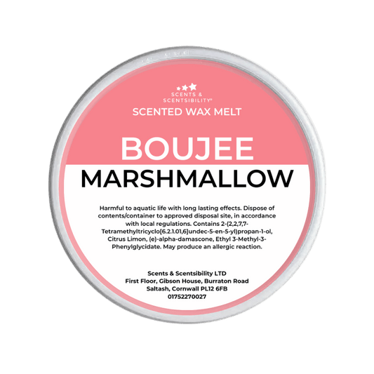 Boujee Marshmallow Segment Pot Wax Melts