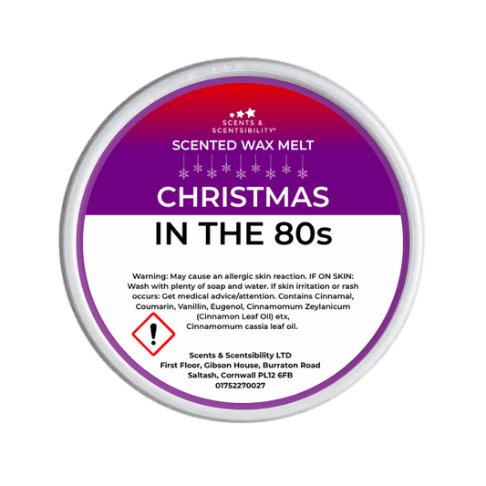 Christmas In The 80s Segment Pot Wax Melts
