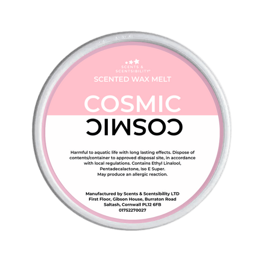 Cosmic Segment Pot Wax Melt