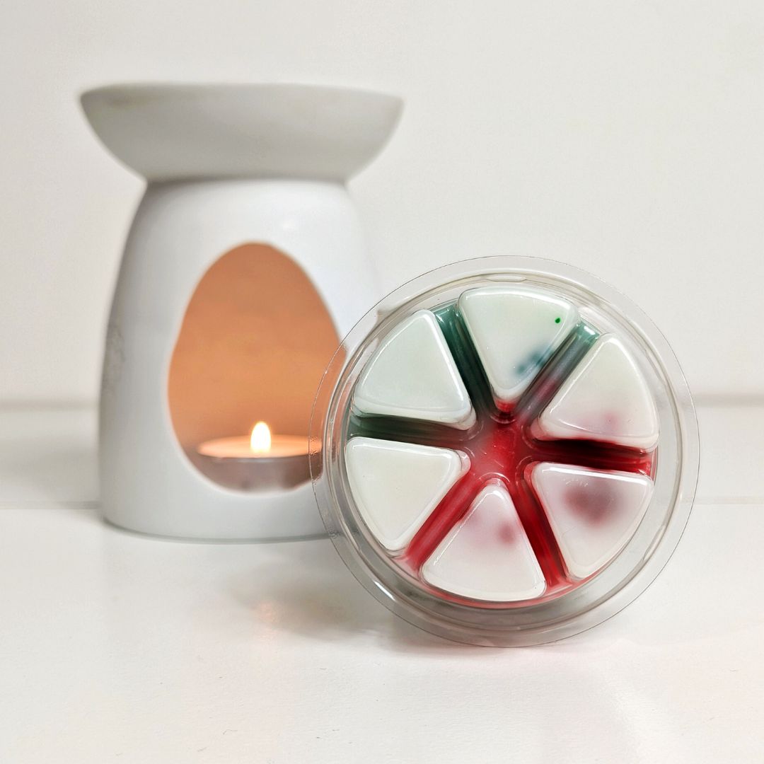 Cwtch Segment Pot Wax Melts