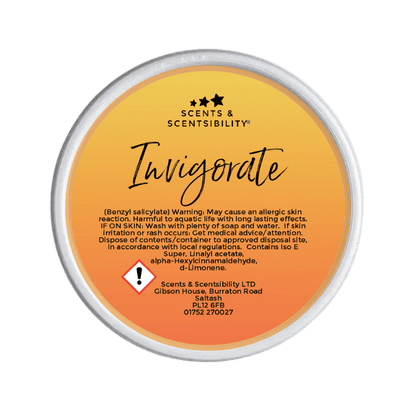 Invigorate Segment Pot Wax Melt