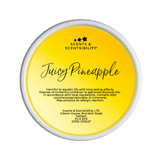 Juicy Pineapple Segment Pot Wax Melt