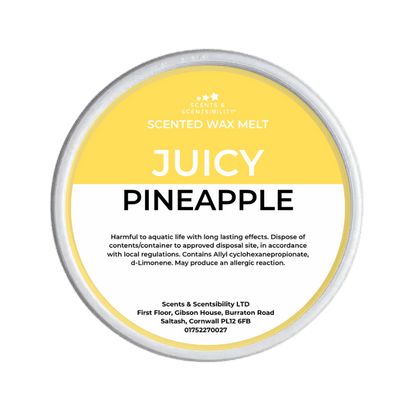 Juicy Pineapple Segment Pot Wax Melts