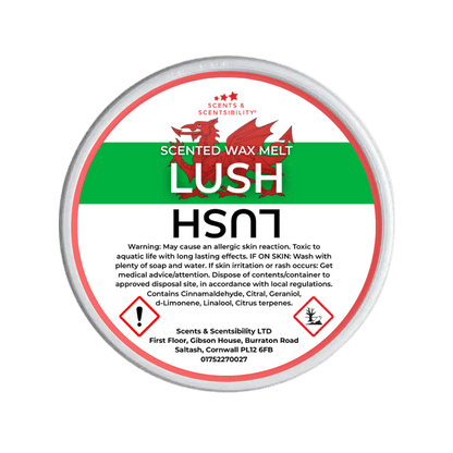 Lush scented wax melt container with label on a green background