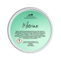 Marine Segment Pot Wax Melt