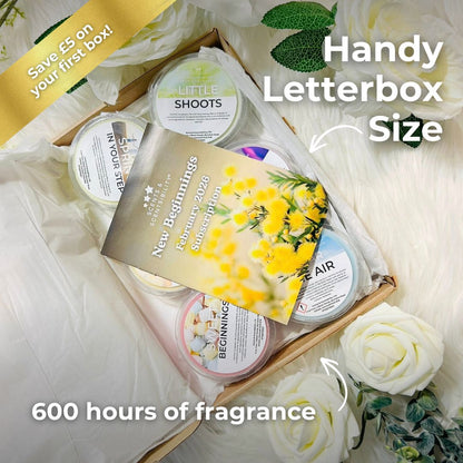 Set of scented wax melts in a box with a card, surrounded by flowers and text highlighting features.
