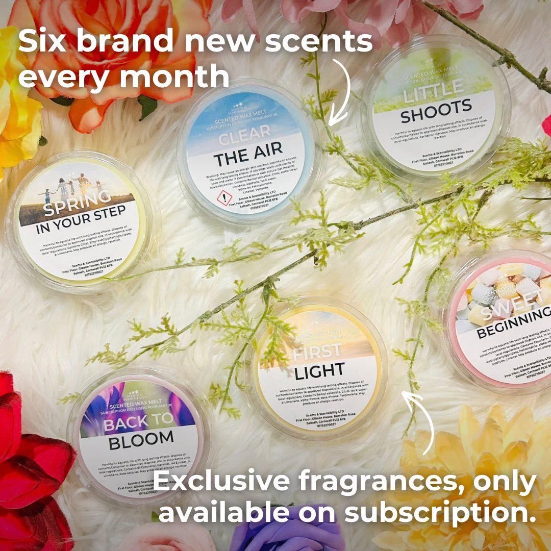 Assorted scented wax melts with labels on a floral background, promoting subscription service.