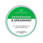 Peppermint & Spearmint Segment Pot Wax Melts