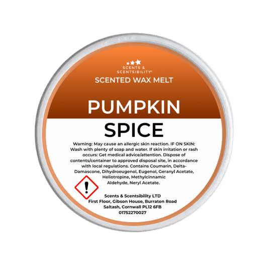 Pumpkin Spice Segment Pot Wax Melts