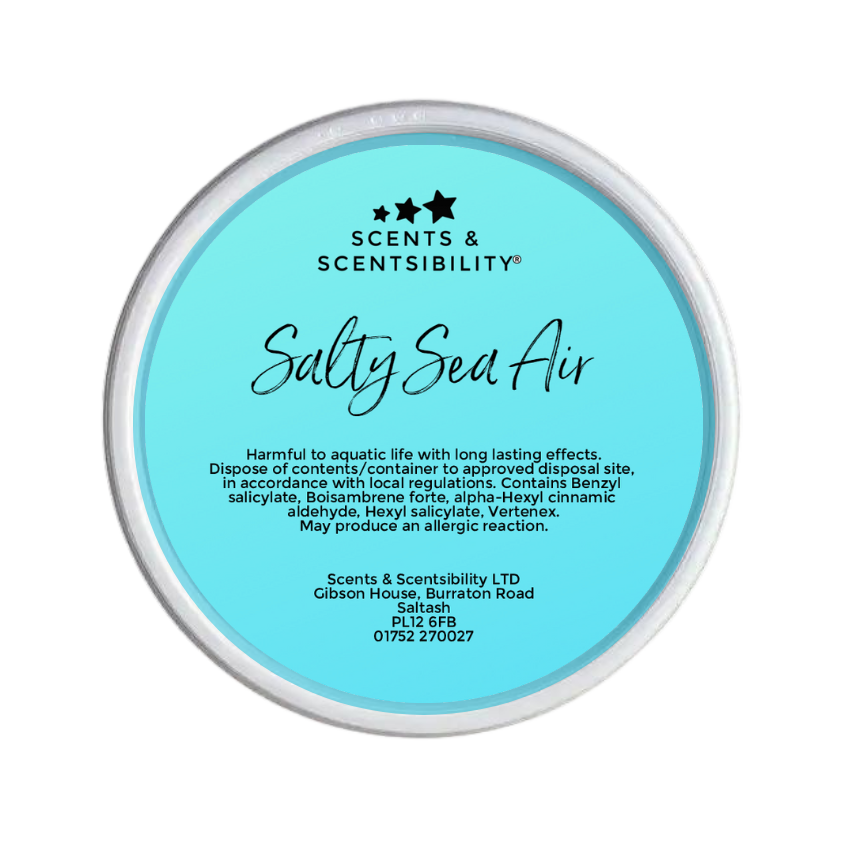 Salty Sea Air Segment Pot Wax Melt