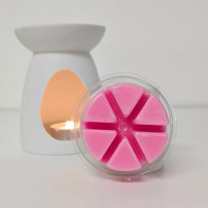 Snow Fae Odour-Eliminating Segment Pot Wax Melts