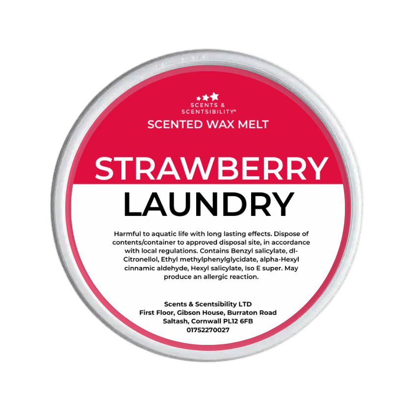 Strawberry Laundry Segment Pot Wax Melt