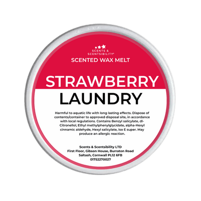 Strawberry Laundry Segment Pot Wax Melt
