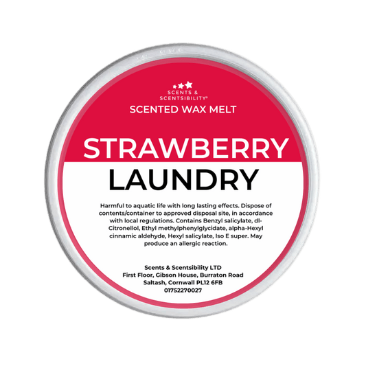 Strawberry Laundry Segment Pot Wax Melt