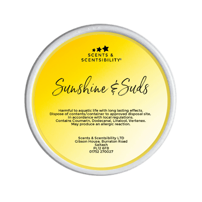 Sunshine & Suds Segment Pot Wax Melt