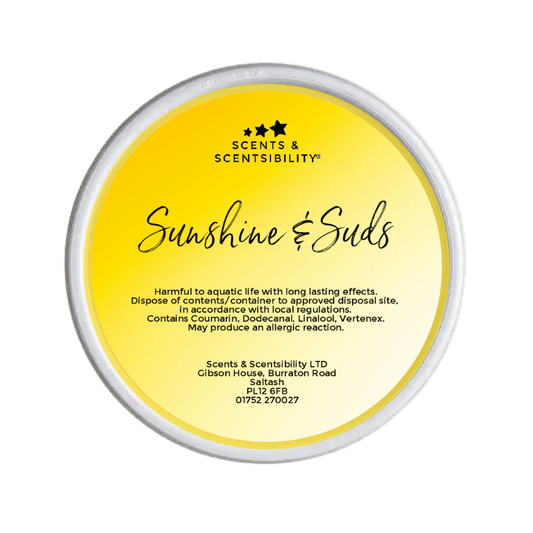 Sunshine & Suds Segment Pot Wax Melt