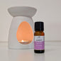 Fragrance oil bottle labeled 'Sweet Slumber' next to a lit wax warmer on a white background