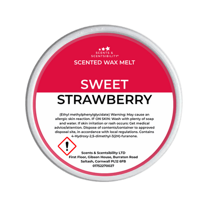 Sweet Strawberry Segment Pot Wax Melts