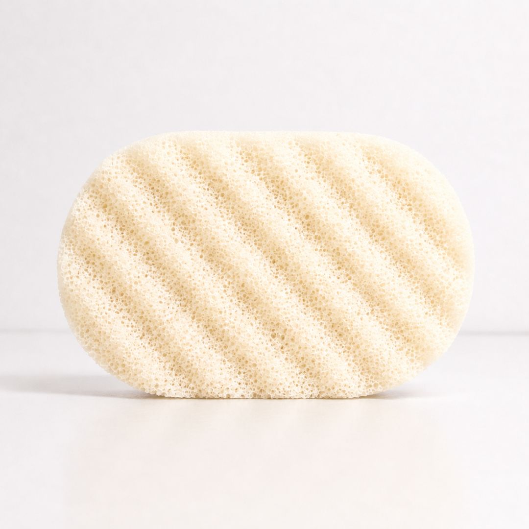 A cream coloured sponge with a textured, porous surface, shown on a clean white background.
