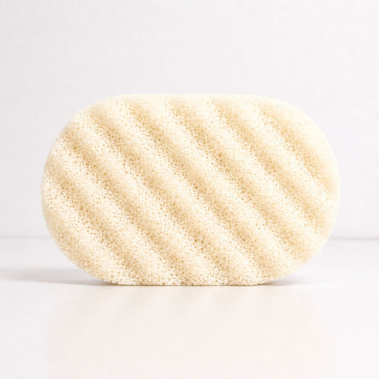 A cream coloured sponge with a textured, porous surface, shown on a clean white background.