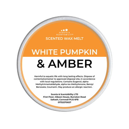 White Pumpkin & Amber Segment Pot Wax Melts