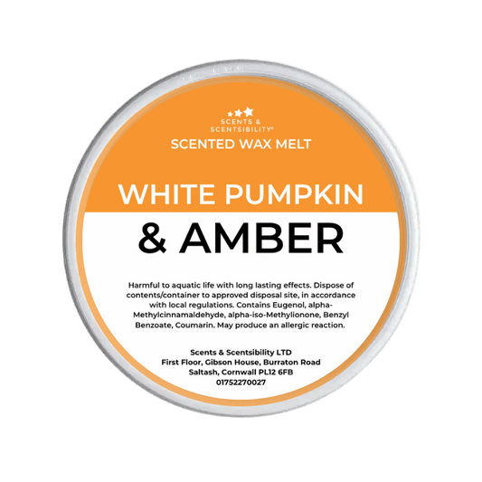 White Pumpkin & Amber Segment Pot Wax Melts