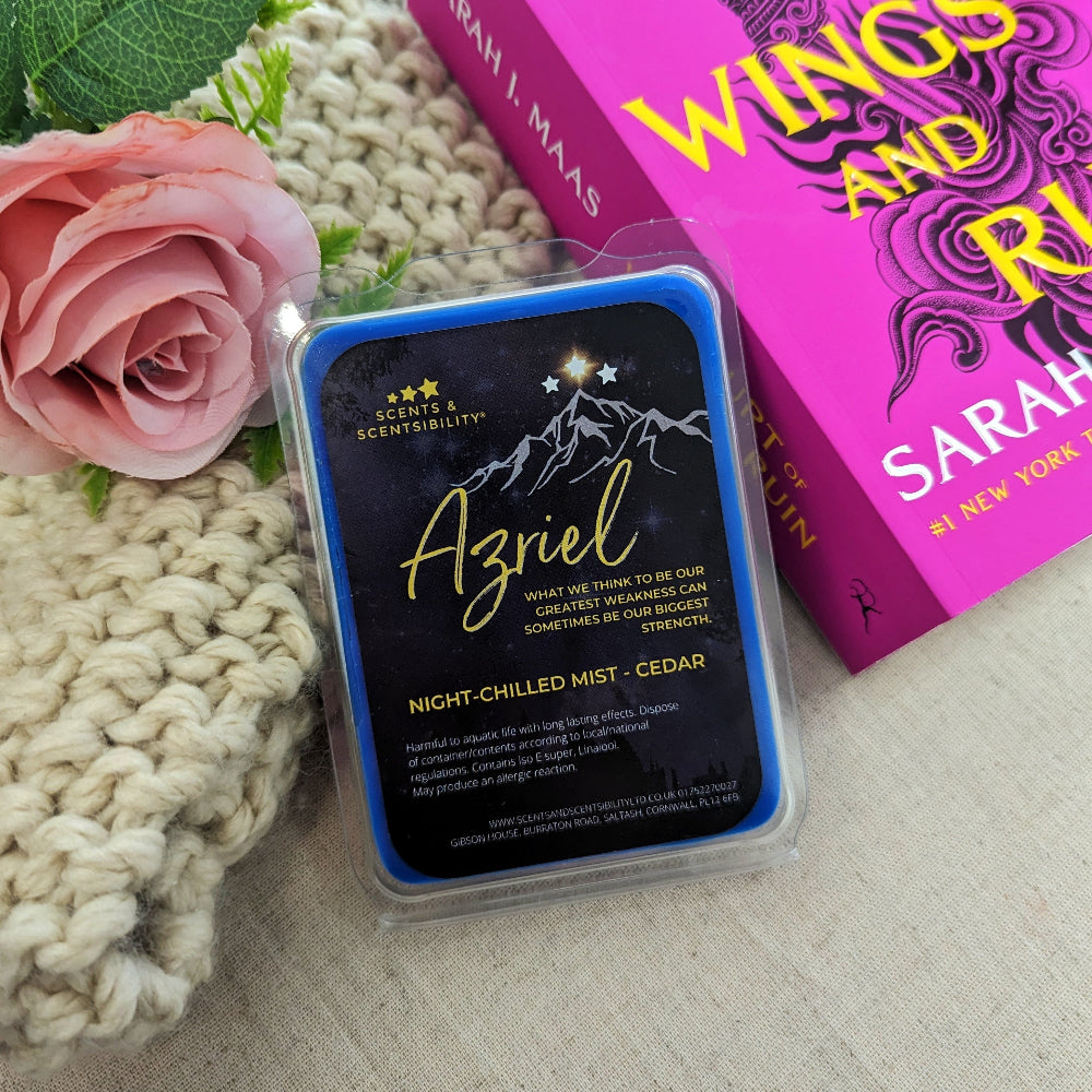 Azriel ACOTAR-inspired Licensed Wax Melt Clam