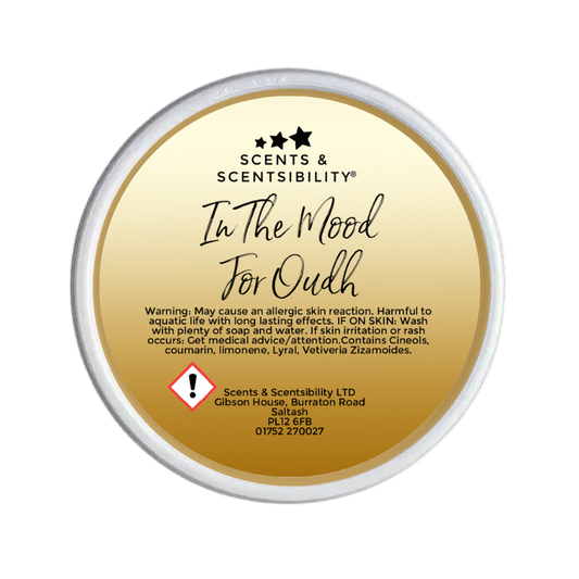 In The Mood For Oudh Segment Pot Wax Melt