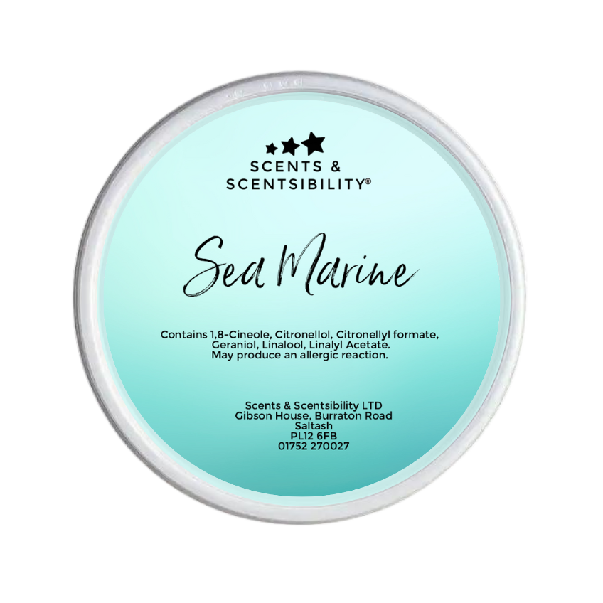 Sea Marine Segment Pot Wax Melt
