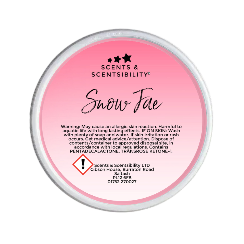 Snow Fae Segment Pot Wax Melt