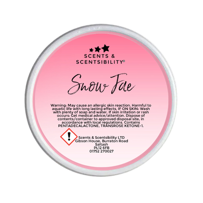 Snow Fae Segment Pot Wax Melt