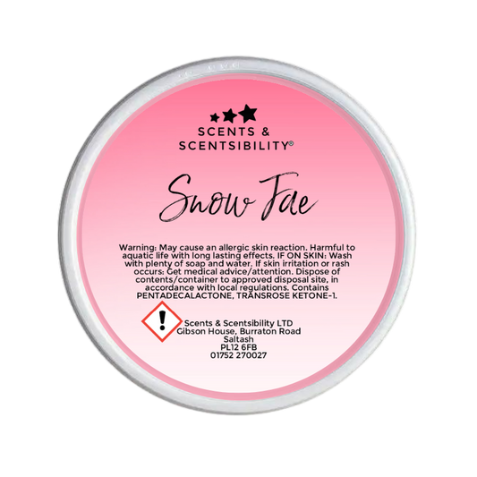 Snow Fae Segment Pot Wax Melt